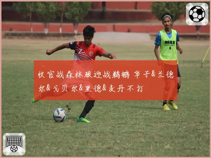 收官战森林狼迎战鹈鹕 华子&兰德尔&戈贝尔&里德&麦丹不打